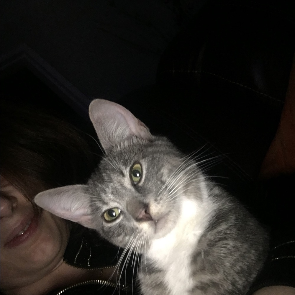 Meet your Posher, Laura